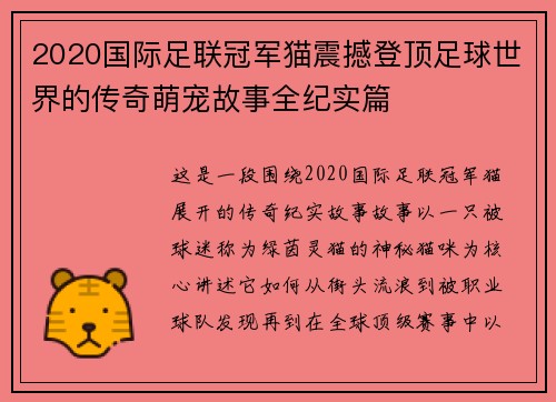 2020国际足联冠军猫震撼登顶足球世界的传奇萌宠故事全纪实篇 2020国际足联冠军猫震撼登顶足球世界的传奇萌宠故事全纪实篇